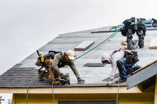 Professional Roofing technician working in Center Line, MI